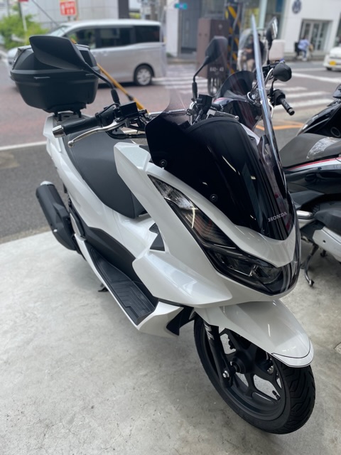 PCX定期点検