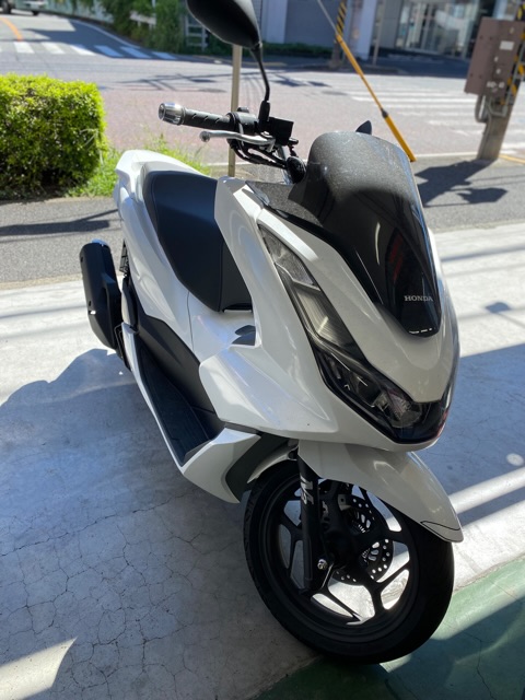 PCX125定期点検