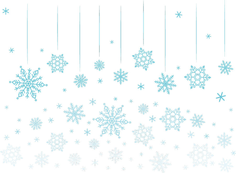 ⛄❆降ってきました❆⛄