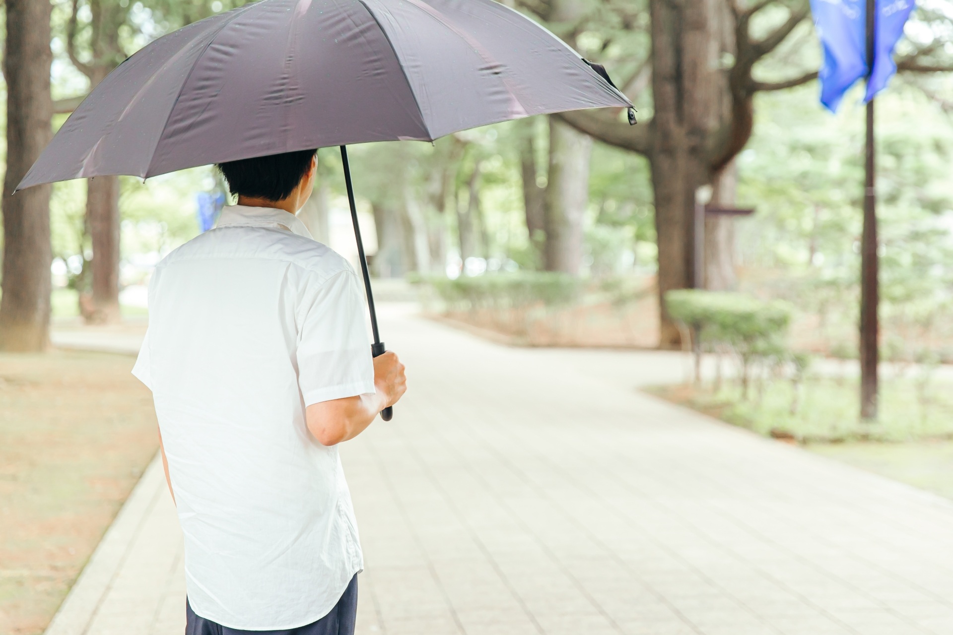 🌞日傘デビューしました！これ、ホントすごい✨🌂